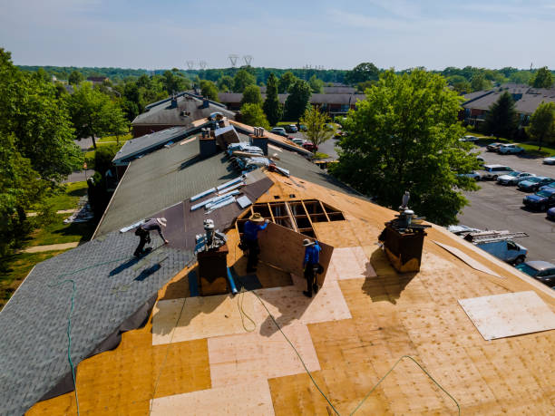 Roof Gutter Cleaning in Staples, MN