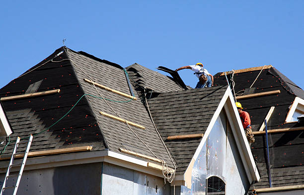Best Residential Roof Replacement  in Staples, MN