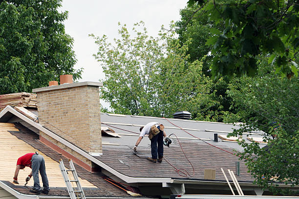 Best Gutter Installation and Roofing  in Staples, MN
