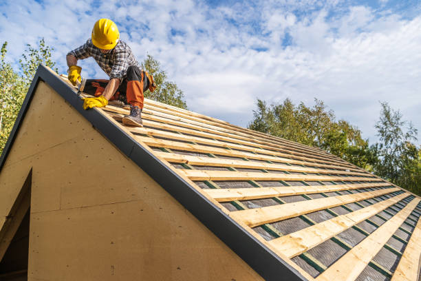 Best Flat Roof Repair Services  in Staples, MN