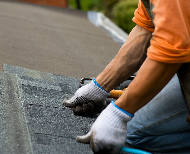 Best Slate Roofing Contractor  in Staples, MN